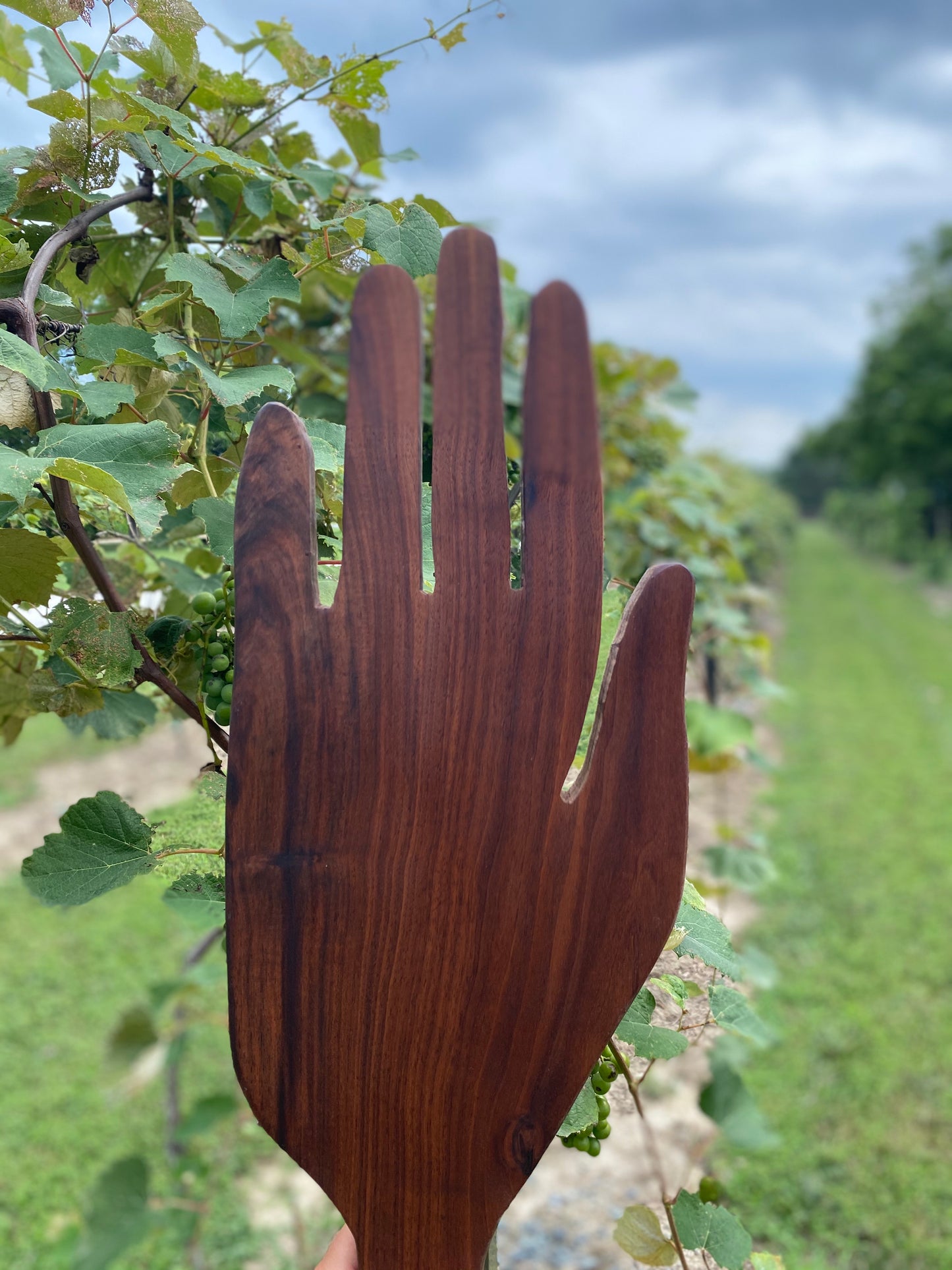 Palm reader