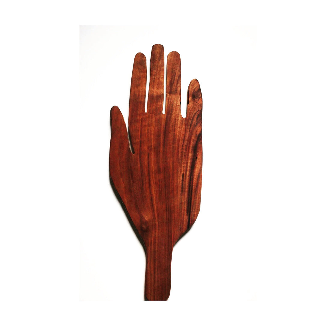 Palm reader