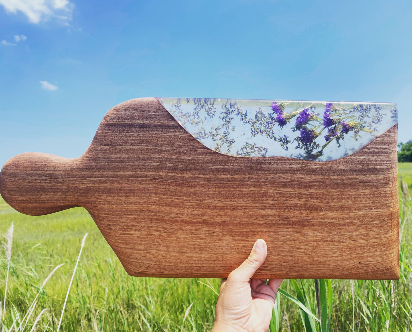 Lavender fields
